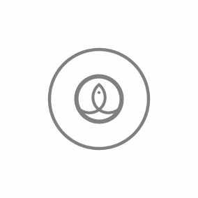 Poké Gyozas Légumes